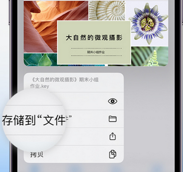 麦盖提apple维修中心分享iPhone文件应用中存储和找到下载文件