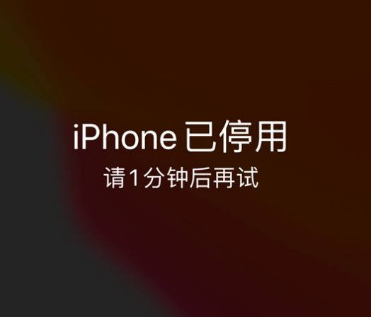 麦盖提苹果手机维修分享:iPhone 显示“不可用”或“已停用”怎么办？还能保留数据吗？ 