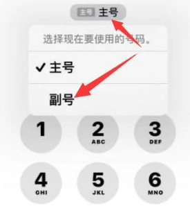 麦盖提苹果14维修店分享iPhone 14 Pro Max使用副卡打电话的方法 