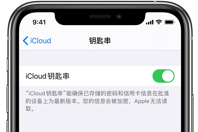 麦盖提苹果手机维修分享在 iPhone 上开启 iCloud 钥匙串之后会储存哪些信息 