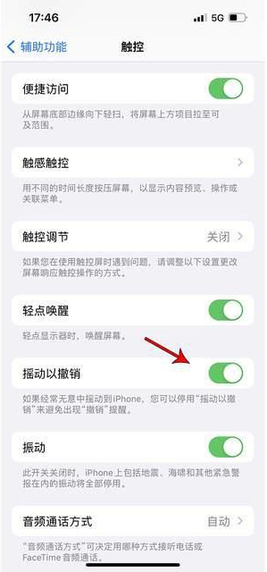 麦盖提苹果手机维修分享iPhone手机如何设置摇一摇删除文字 