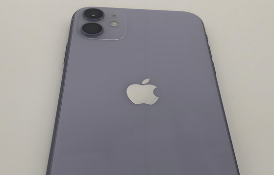 麦盖提苹果11系统维修分享iPhone11手机系统崩溃无法开机如何解决 